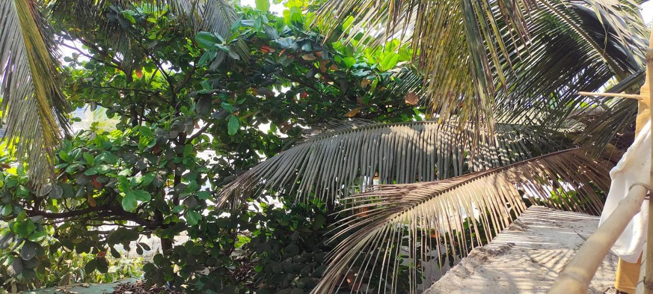 Est Hem Guesthouse Arambol Ngoại thất bức ảnh